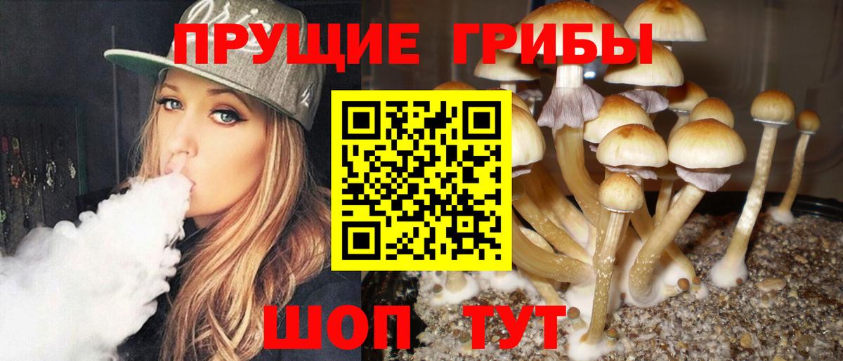 Первоуральск  Галлюциногенные грибы MAGIC MUSHROOMS  Вход с VPN 